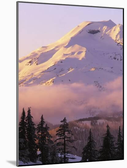 The South Sister at sunset, Deschutes National Forest, Oregon, USA-Charles Gurche-Mounted Photographic Print