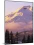 The South Sister at sunset, Deschutes National Forest, Oregon, USA-Charles Gurche-Mounted Photographic Print