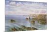 The Southern Coast of Guernsey, 1875 (W/C on Paper)-John Brett-Mounted Giclee Print