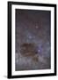 The Southern Cross and Coalsack Nebula in Crux-null-Framed Premium Photographic Print