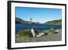 The southern elephant seal (Mirounga leonina) in front of an old whaling boat, Ocean Harbour, South-Michael Runkel-Framed Photographic Print