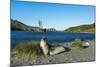 The southern elephant seal (Mirounga leonina) in front of an old whaling boat, Ocean Harbour, South-Michael Runkel-Mounted Photographic Print