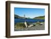 The southern elephant seal (Mirounga leonina) in front of an old whaling boat, Ocean Harbour, South-Michael Runkel-Framed Photographic Print