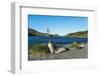 The southern elephant seal (Mirounga leonina) in front of an old whaling boat, Ocean Harbour, South-Michael Runkel-Framed Photographic Print