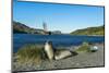 The southern elephant seal (Mirounga leonina) in front of an old whaling boat, Ocean Harbour, South-Michael Runkel-Mounted Photographic Print