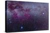 The Southern Milky Way and the Extensive Gum Nebula Complex-Stocktrek Images-Stretched Canvas