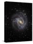 The Southern Pinwheel Galaxy-Stocktrek Images-Stretched Canvas