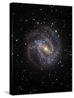 The Southern Pinwheel Galaxy-Stocktrek Images-Stretched Canvas