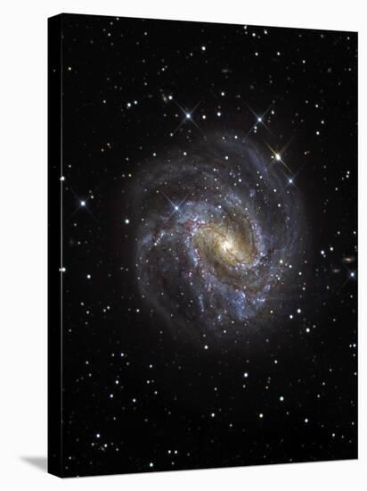 The Southern Pinwheel Galaxy-Stocktrek Images-Stretched Canvas