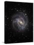 The Southern Pinwheel Galaxy-Stocktrek Images-Stretched Canvas