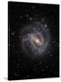 The Southern Pinwheel Galaxy-Stocktrek Images-Stretched Canvas