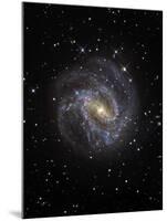 The Southern Pinwheel Galaxy-Stocktrek Images-Mounted Photographic Print