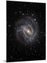 The Southern Pinwheel Galaxy-Stocktrek Images-Mounted Photographic Print