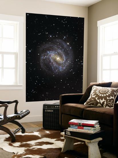 Giant Art Print, , large
