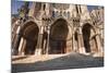 The Southern Portal of Chartres Cathedral-Julian Elliott-Mounted Photographic Print