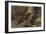 The Southern River Otter by Alfred Edmund Brehm-Stefano Bianchetti-Framed Giclee Print