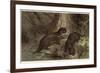 The Southern River Otter by Alfred Edmund Brehm-Stefano Bianchetti-Framed Giclee Print