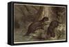 The Southern River Otter by Alfred Edmund Brehm-Stefano Bianchetti-Framed Stretched Canvas