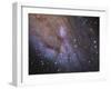 The Southwest Spiral Arm of Messier 31-null-Framed Photographic Print