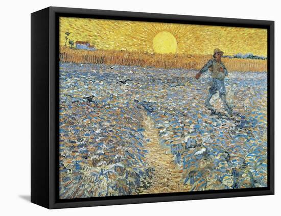 The Sower, 1888-Vincent van Gogh-Framed Stretched Canvas