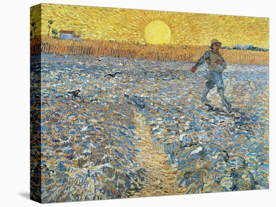 The Sower, 1888-Vincent van Gogh-Stretched Canvas