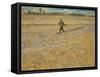 The Sower, 1888-Vincent van Gogh-Framed Stretched Canvas