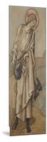 The Sower: a Design for Stained Glass at Brighouse, Yorkshire, 1896-Edward Burne-Jones-Mounted Giclee Print