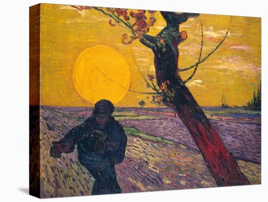 The Sower at Sunset, 1888-Vincent van Gogh-Stretched Canvas