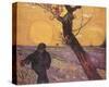 The Sower, c.1888-Vincent van Gogh-Stretched Canvas
