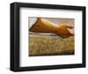 The Sower-Garret Walker-Framed Art Print