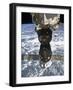 The Soyuz TMA-19 Spacecraft Docked to the Rassvet Mini-Research Module 1-Stocktrek Images-Framed Photographic Print