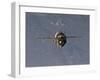 The Soyuz TMA-19 Spacecraft-Stocktrek Images-Framed Photographic Print