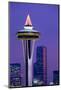 The Space Needle decorated with Christmas lights, Seattle, Washington-William Sutton-Mounted Photographic Print