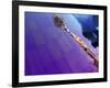 The Space Needle Reflected in the Experience Music Project Building, Seattle, Washington, USA-William Sutton-Framed Photographic Print