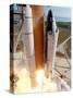 The Space Shuttle Columbia-null-Stretched Canvas