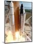 The Space Shuttle Columbia-null-Mounted Premium Photographic Print