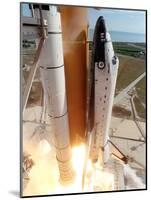 The Space Shuttle Columbia-null-Mounted Photographic Print