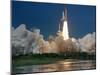 The Space Shuttle Discovery Rises from the Swamps Surrounding its Pad at Kennedy Space Center-null-Mounted Premium Photographic Print