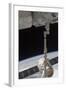 The Spacex Dragon Commercial Cargo Craft Is Grappled by the Canadarm2-null-Framed Photographic Print