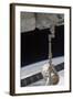 The Spacex Dragon Commercial Cargo Craft Is Grappled by the Canadarm2-null-Framed Photographic Print