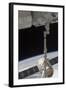 The Spacex Dragon Commercial Cargo Craft Is Grappled by the Canadarm2-null-Framed Photographic Print