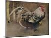 'The Spangled Cock', 1903 (1935)-Joseph Crawhall-Mounted Giclee Print