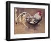 The Spangled Cock-Joseph Crawhall-Framed Premium Giclee Print