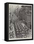 The Spanish-American War, Spanish Troops Marching Through San Juan, the Capital of Porto Rico-null-Framed Stretched Canvas