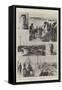 The Spanish-American War, the American Mobilisation at Tampa, Scenes of Camp Life-null-Framed Stretched Canvas