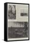 The Spanish-American War-Paul Frenzeny-Framed Stretched Canvas