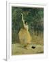 The Spanish Dancer, 1888-Henri de Toulouse-Lautrec-Framed Giclee Print