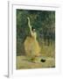 The Spanish Dancer, 1888-Henri de Toulouse-Lautrec-Framed Giclee Print