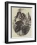 The Spanish Gipsy Sisters-John Phillip-Framed Giclee Print