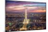 The sparkling lights of the Eiffel Tower-Nick Jackson-Mounted Art Print